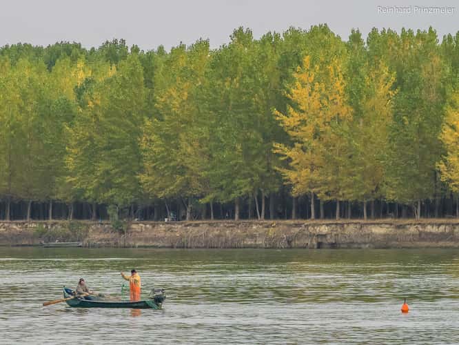 At the Danube Delta near Mahmudia