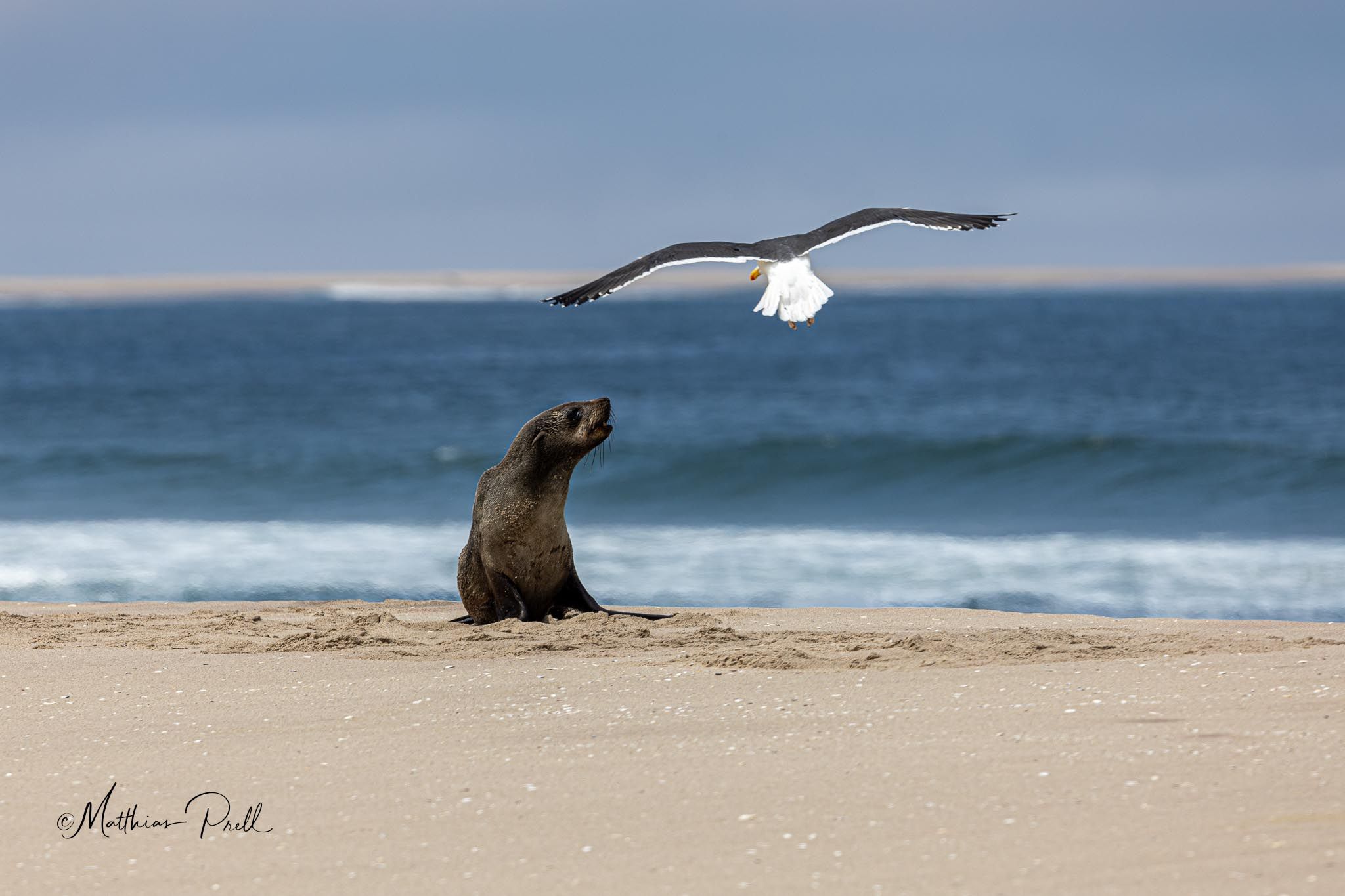 At walvis bay beach, Namibia