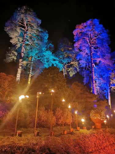 Bedgebury Pinetum / Forest