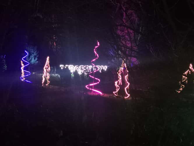 Bedgebury Pinetum / Forest