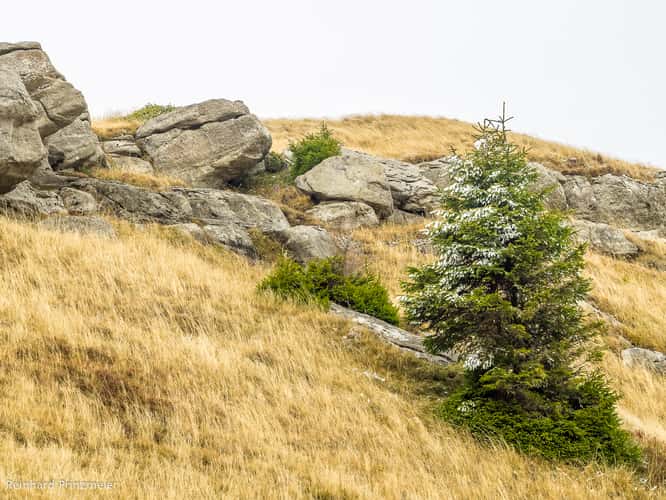 Bucegi Plateau