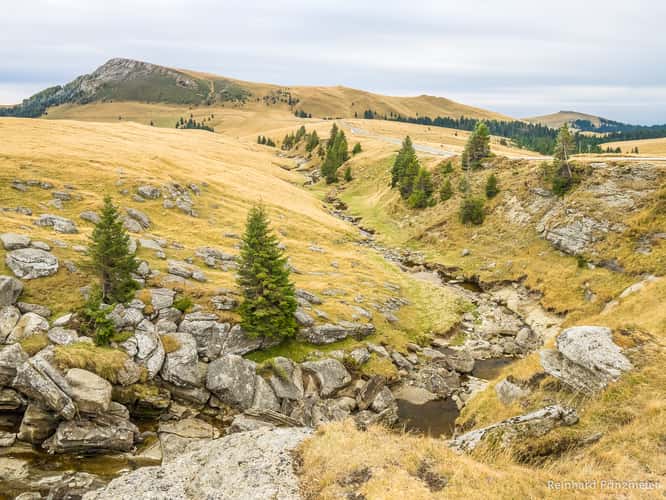Bucegi Plateau