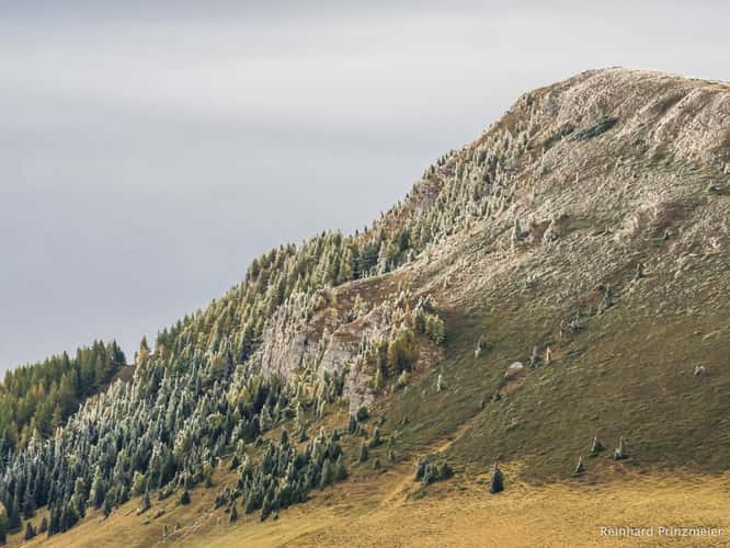 Bucegi Plateau