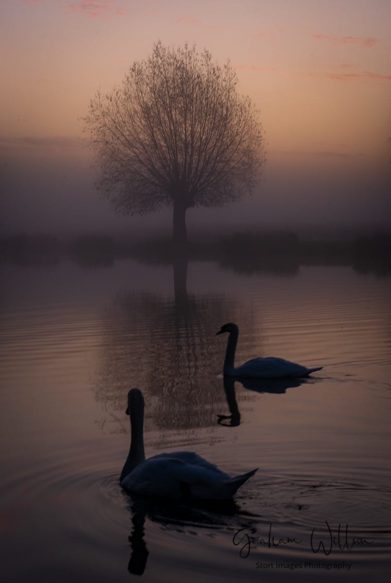 Bushy Park, United Kingdom
