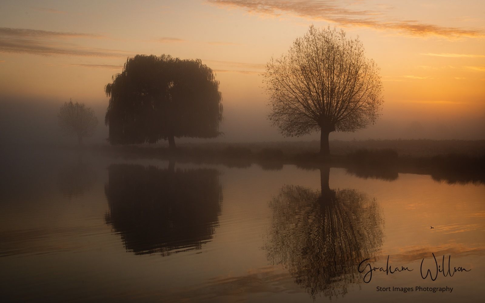 Bushy Park, United Kingdom