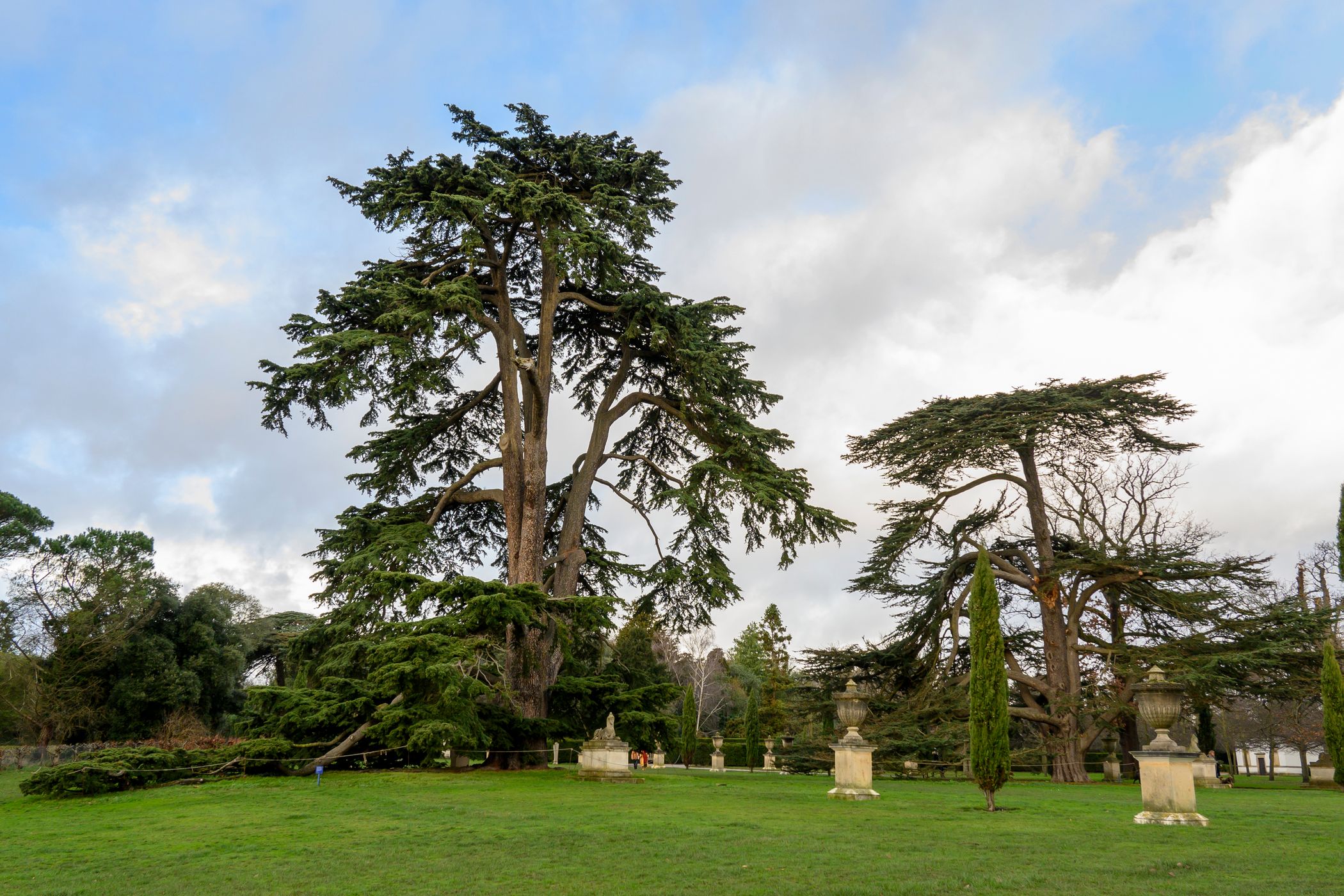 Chiswick Gardens, United Kingdom