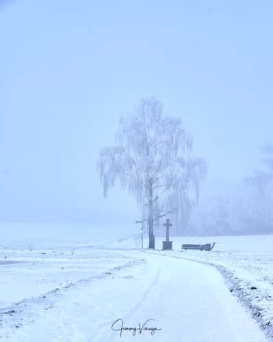 Das Flurkreuz 'Obere Beune'