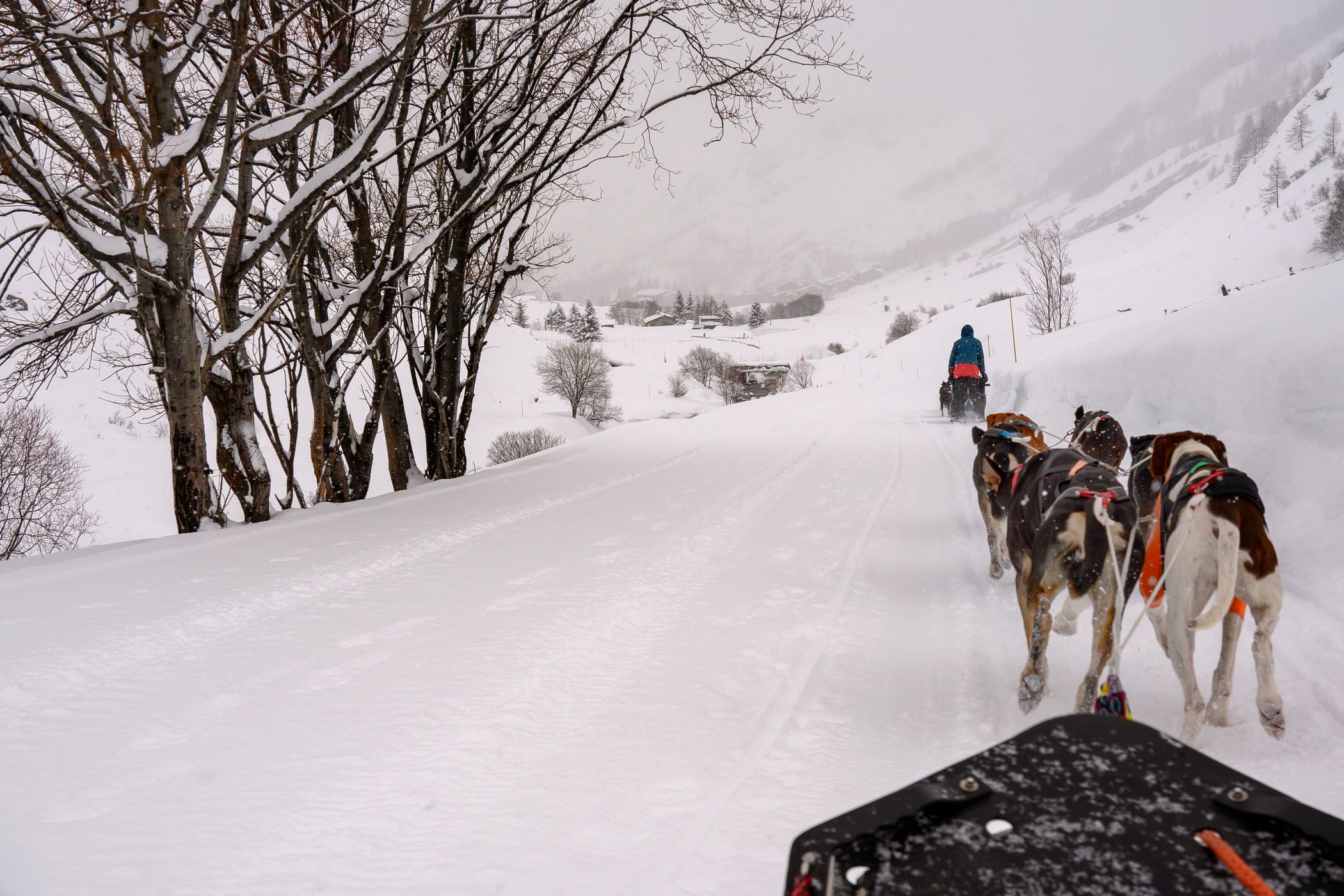 Dog Sleding Val D'Isere, France