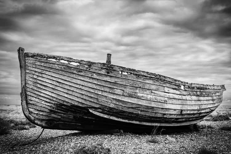 Dungeness Beach