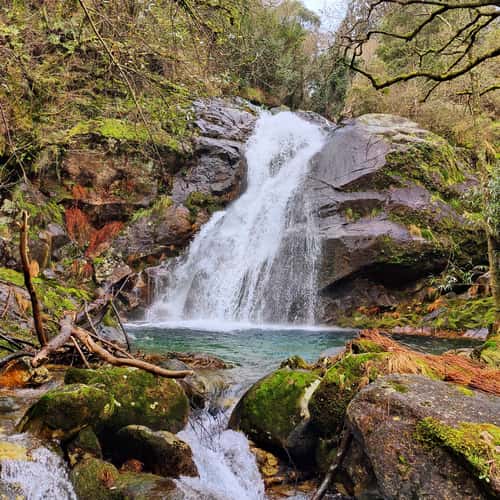 Fervenza do Enseño