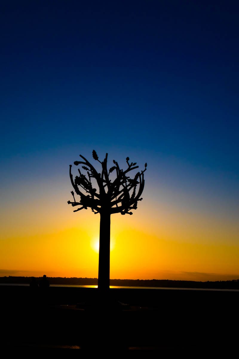 Freedom Tree Sculpture, Jersey