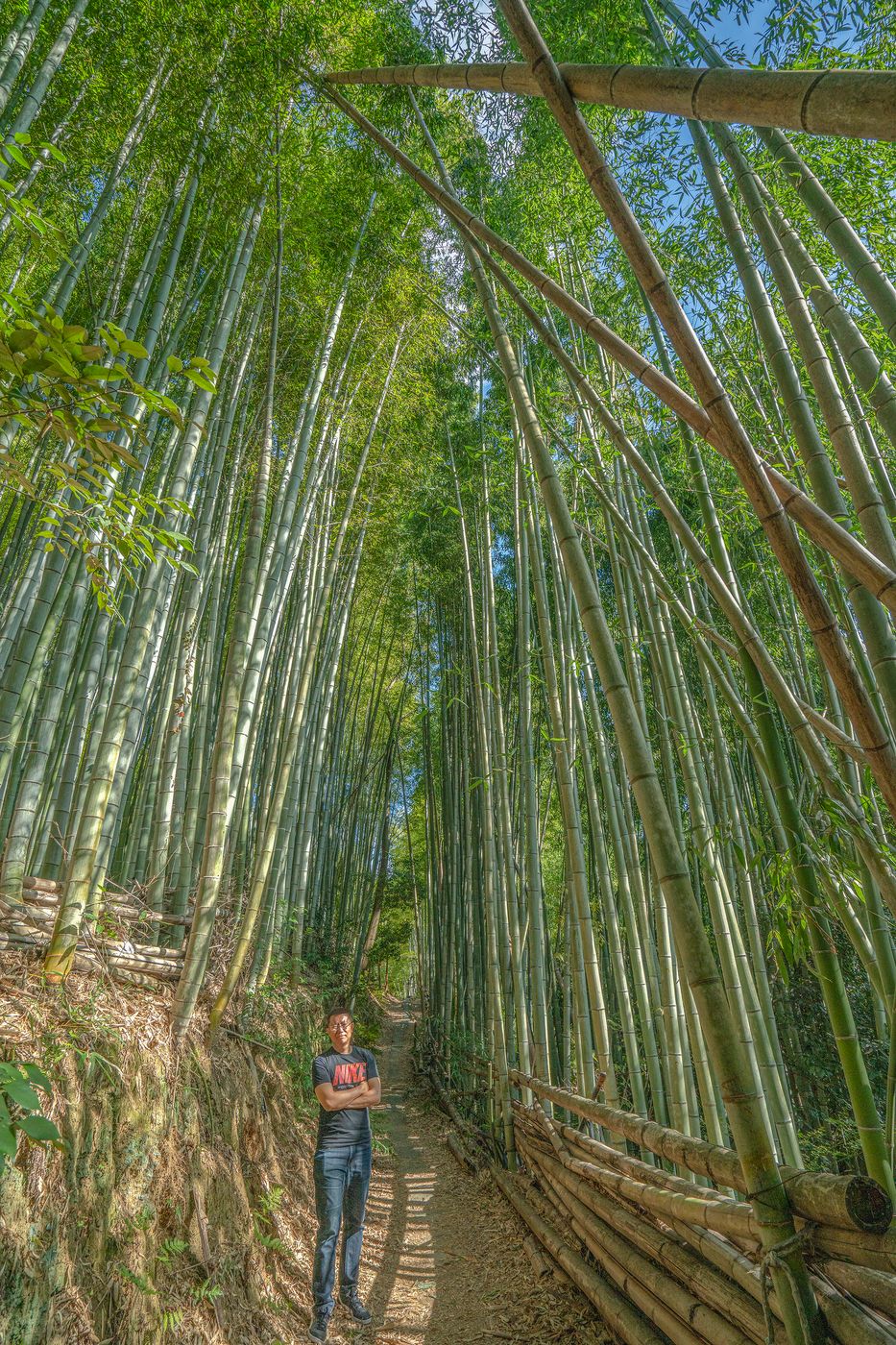 Fushimi Inari Bamboo Forest, Japan