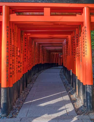 Fushimi Inari Shrine