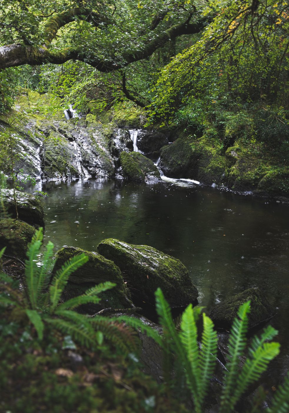 Glengarriff River Waterfall, Ireland
