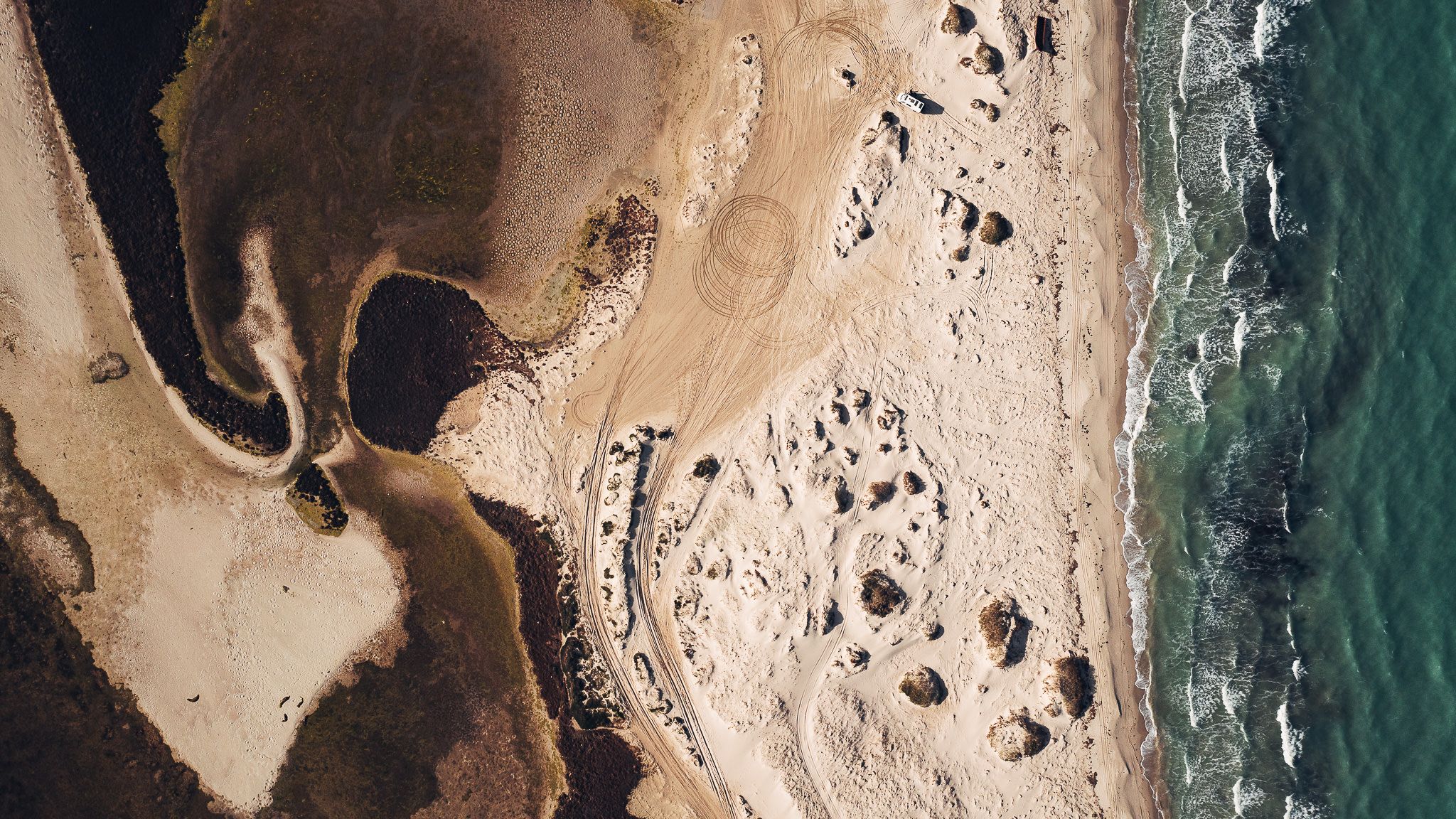 Greater Flamingo Island, Djerba, Tunisia, Tunisia