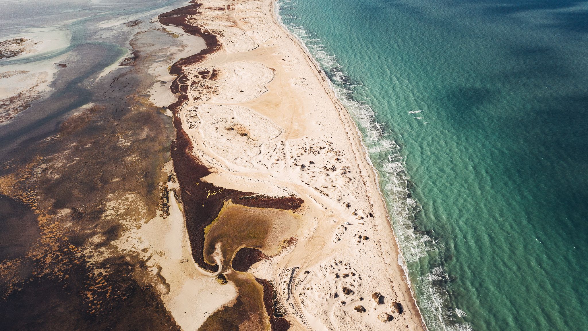 Greater Flamingo Island, Djerba, Tunisia, Tunisia