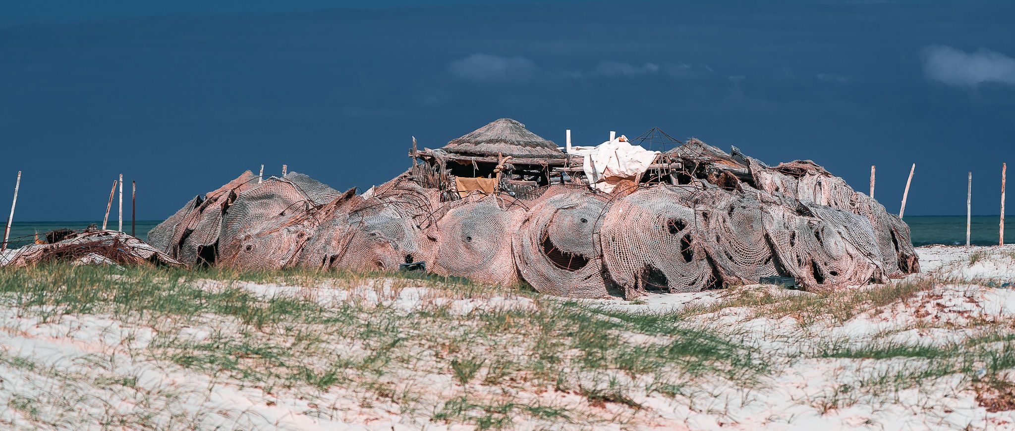 Greater Flamingo Island, Djerba, Tunisia, Tunisia
