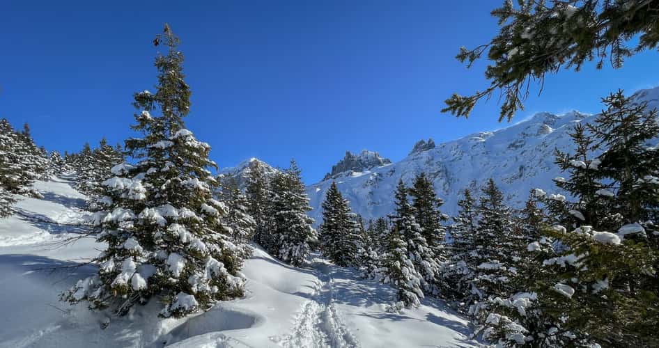 Grotzli Trail, Fürenalp