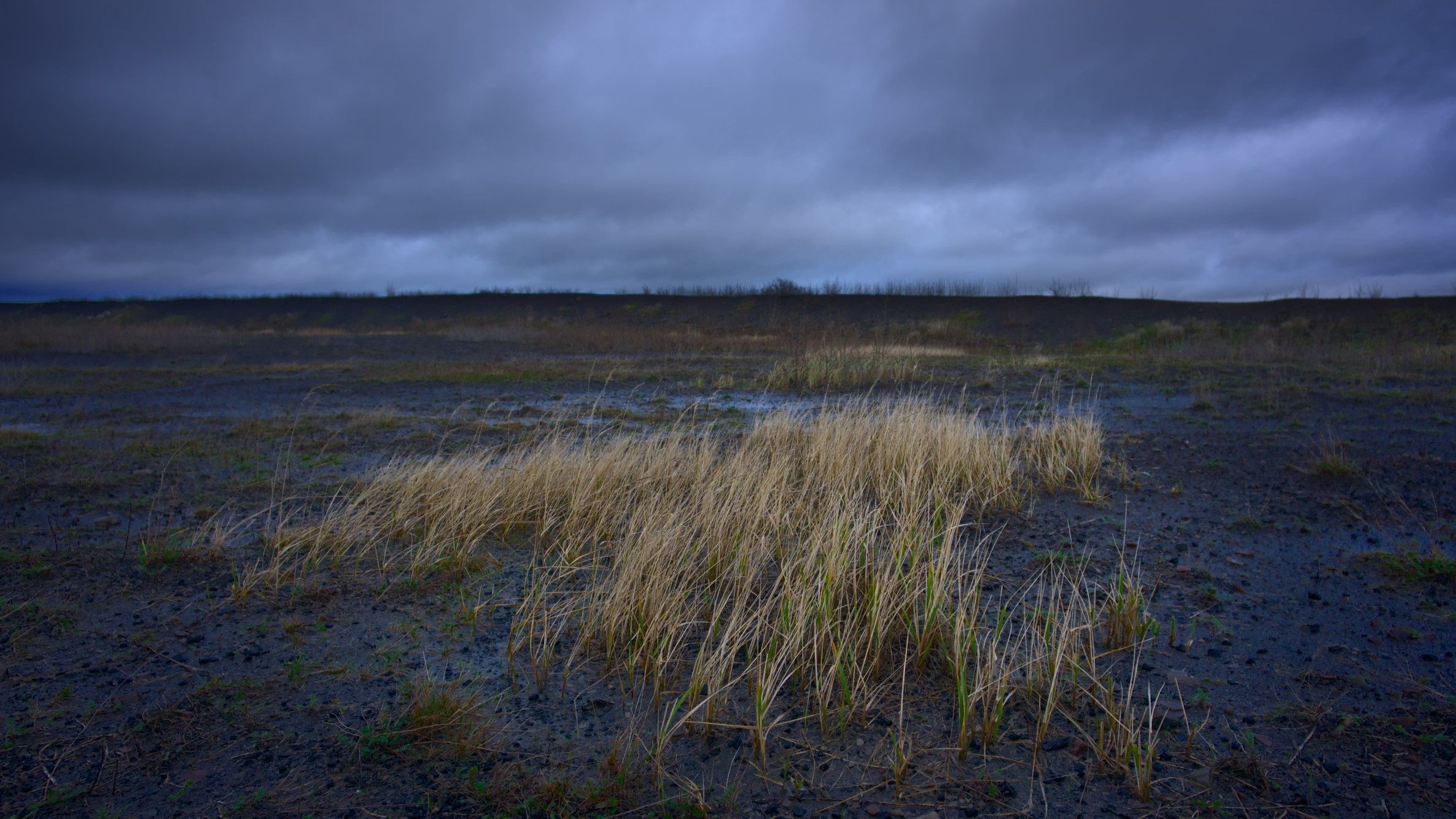 Halde Haniel, Germany