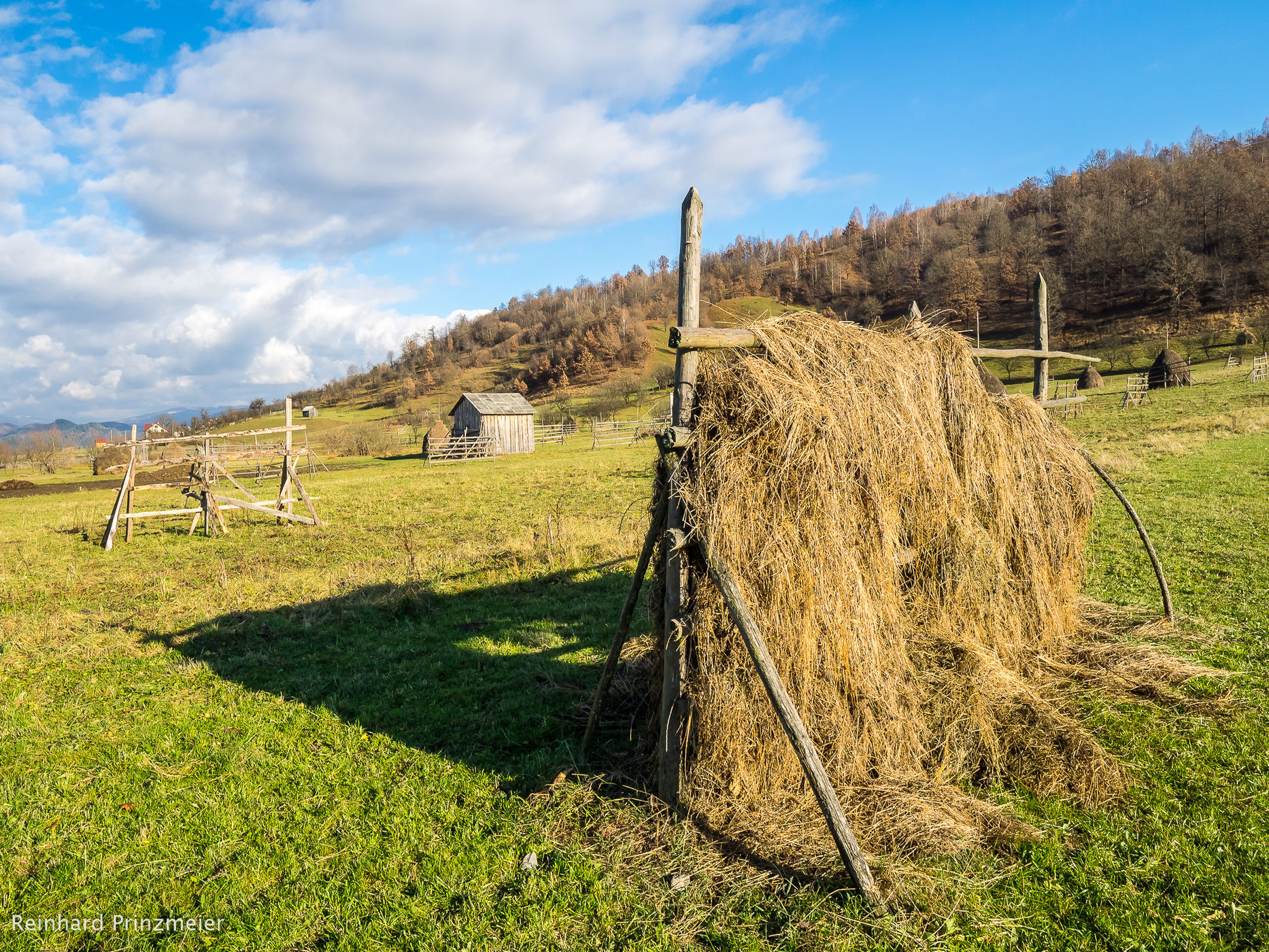 Hay drying and storing near Botiza, Romania