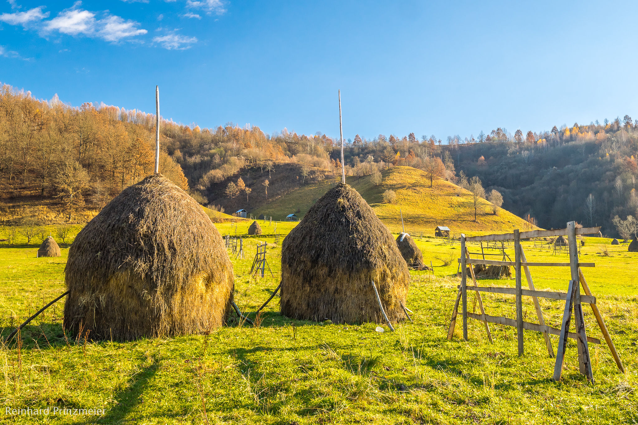 Hay drying and storing near Botiza, Romania