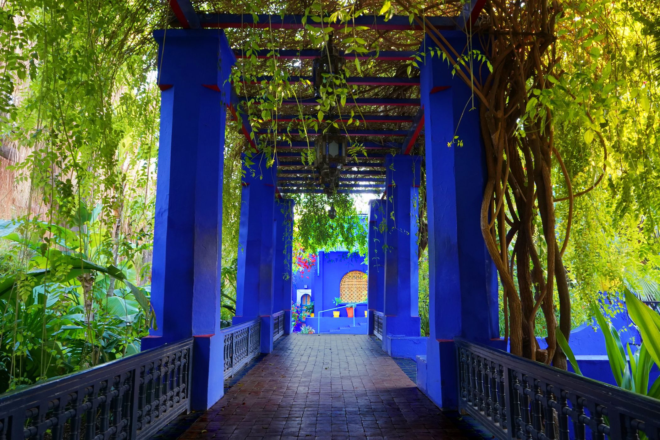 Jardin Majorelle, Marrakesh, Morocco