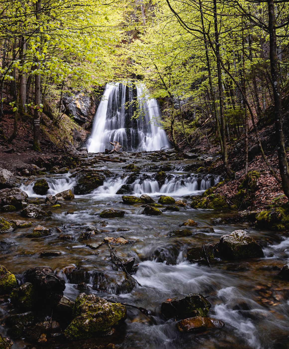 Josefsthaler Wasserfall, Germany