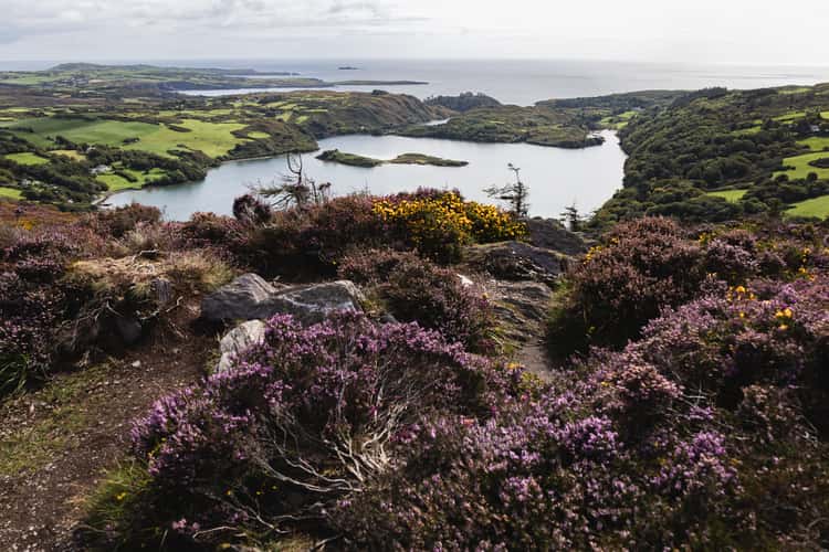 Knockomagh Hill