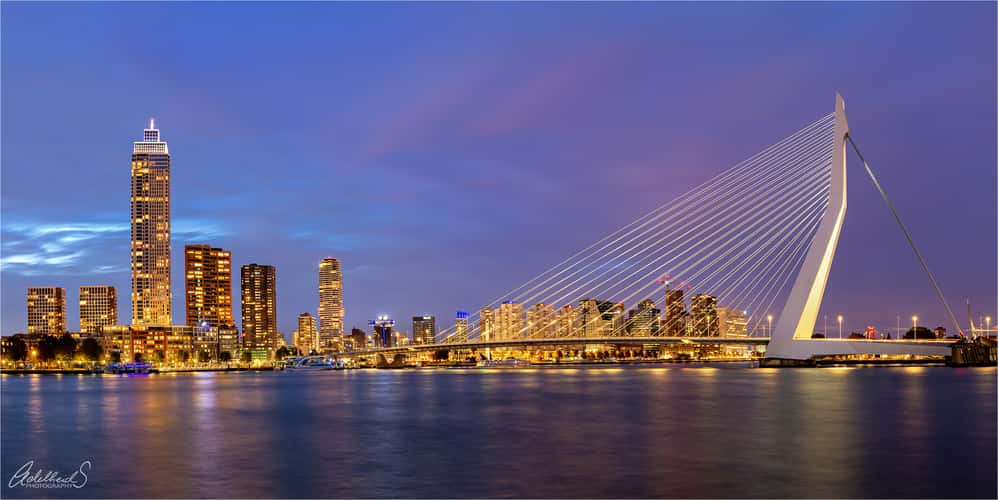 Kop van Zuid, Holland Amerikakade