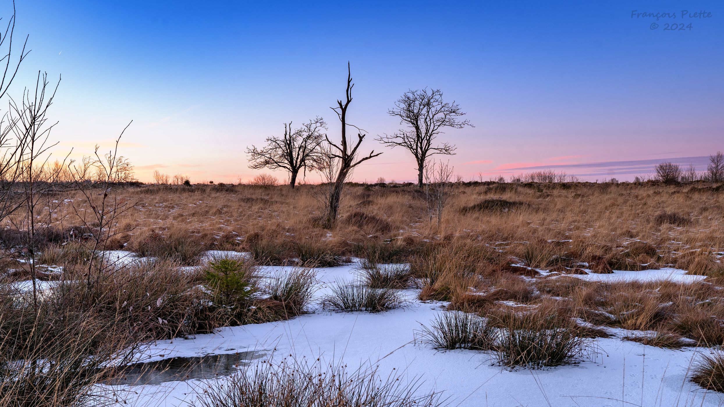 La Fagne de Brackvenn, Belgium