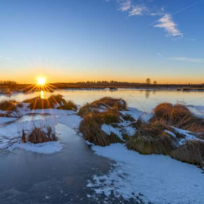 La Fagne de Brackvenn, Belgium