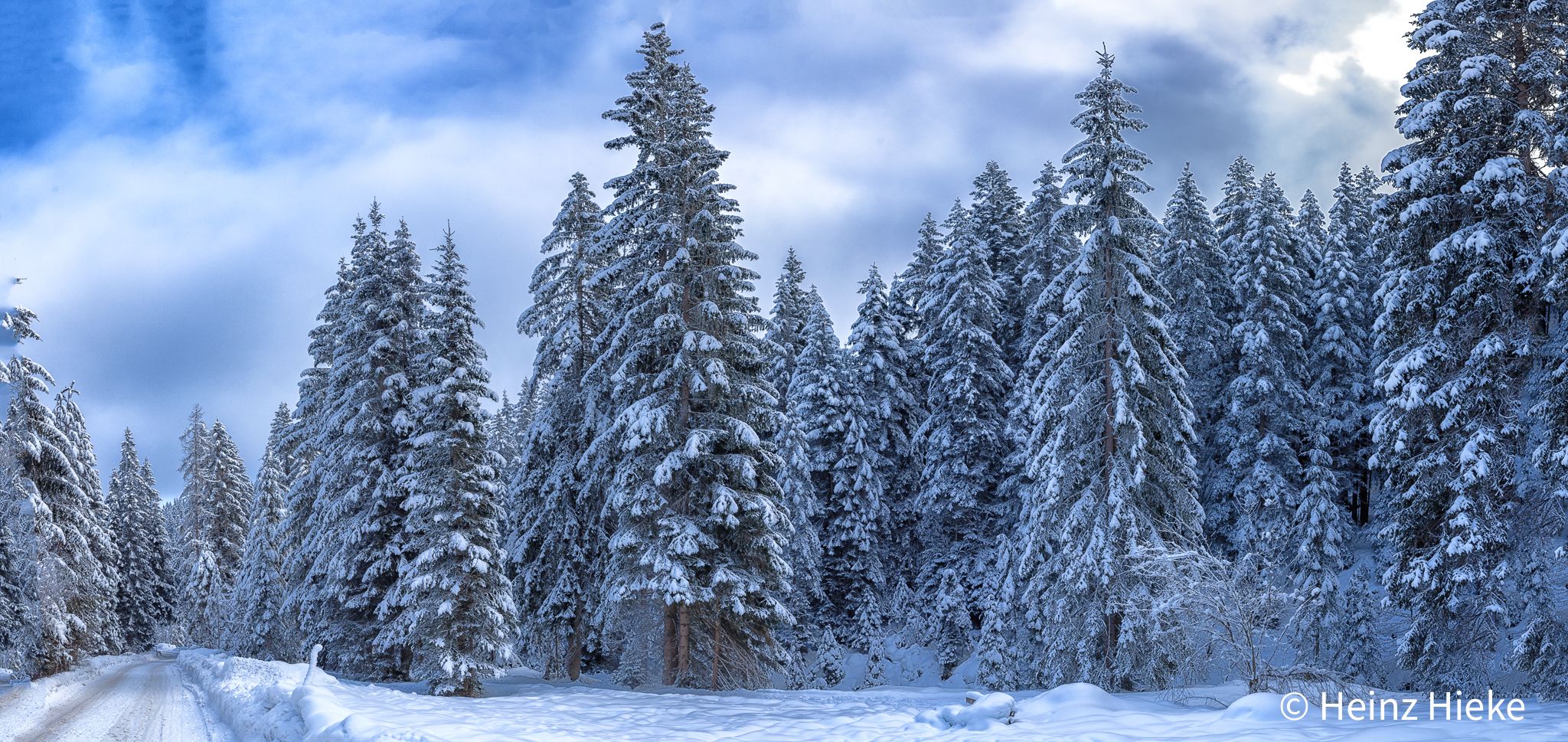 Lehenwald, Austria
