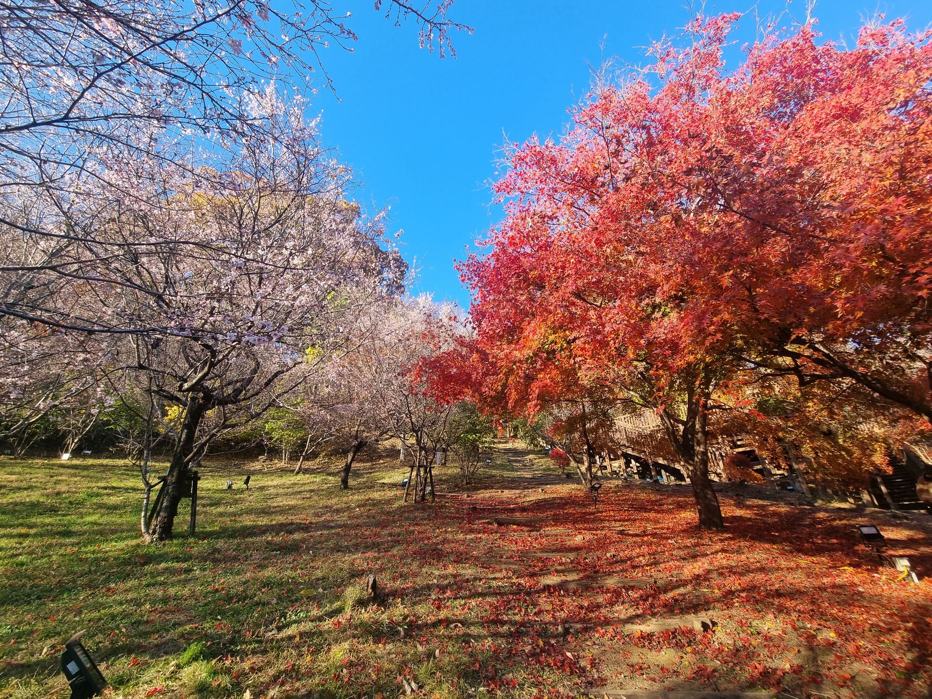 Municipal Jyoumine park, Japan