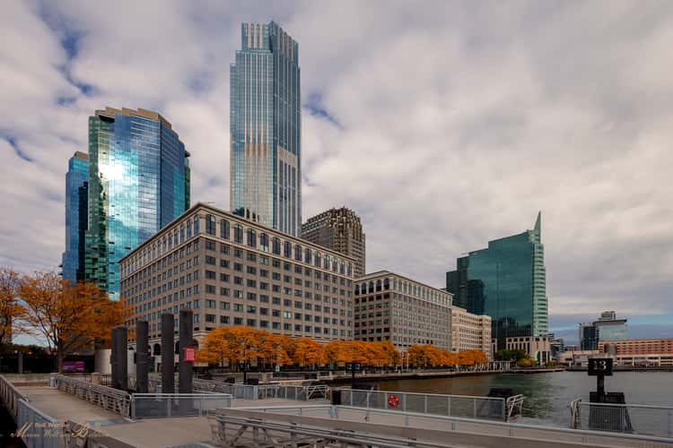 Lower Manhattan Skyline