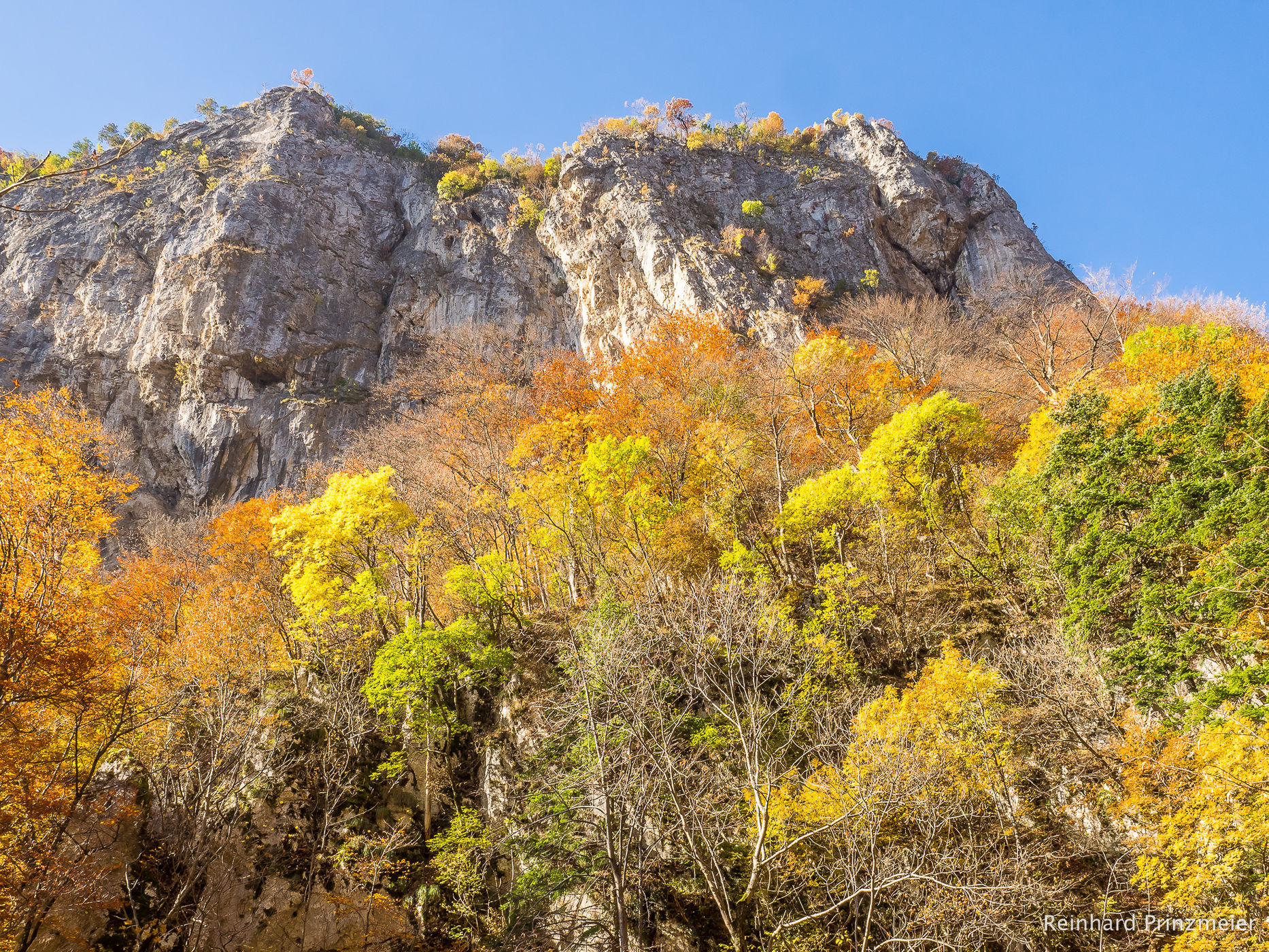 Olteţ Gorge, Romania