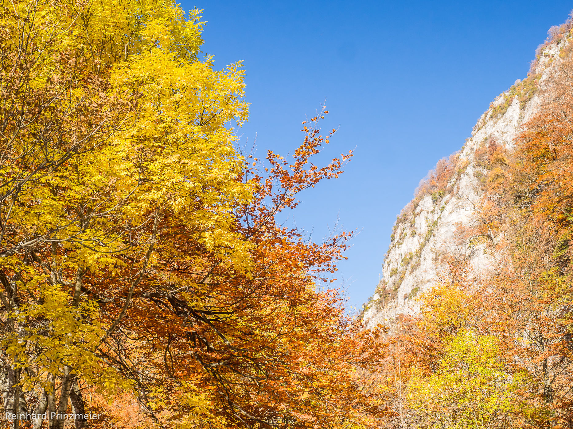 Olteţ Gorge, Romania