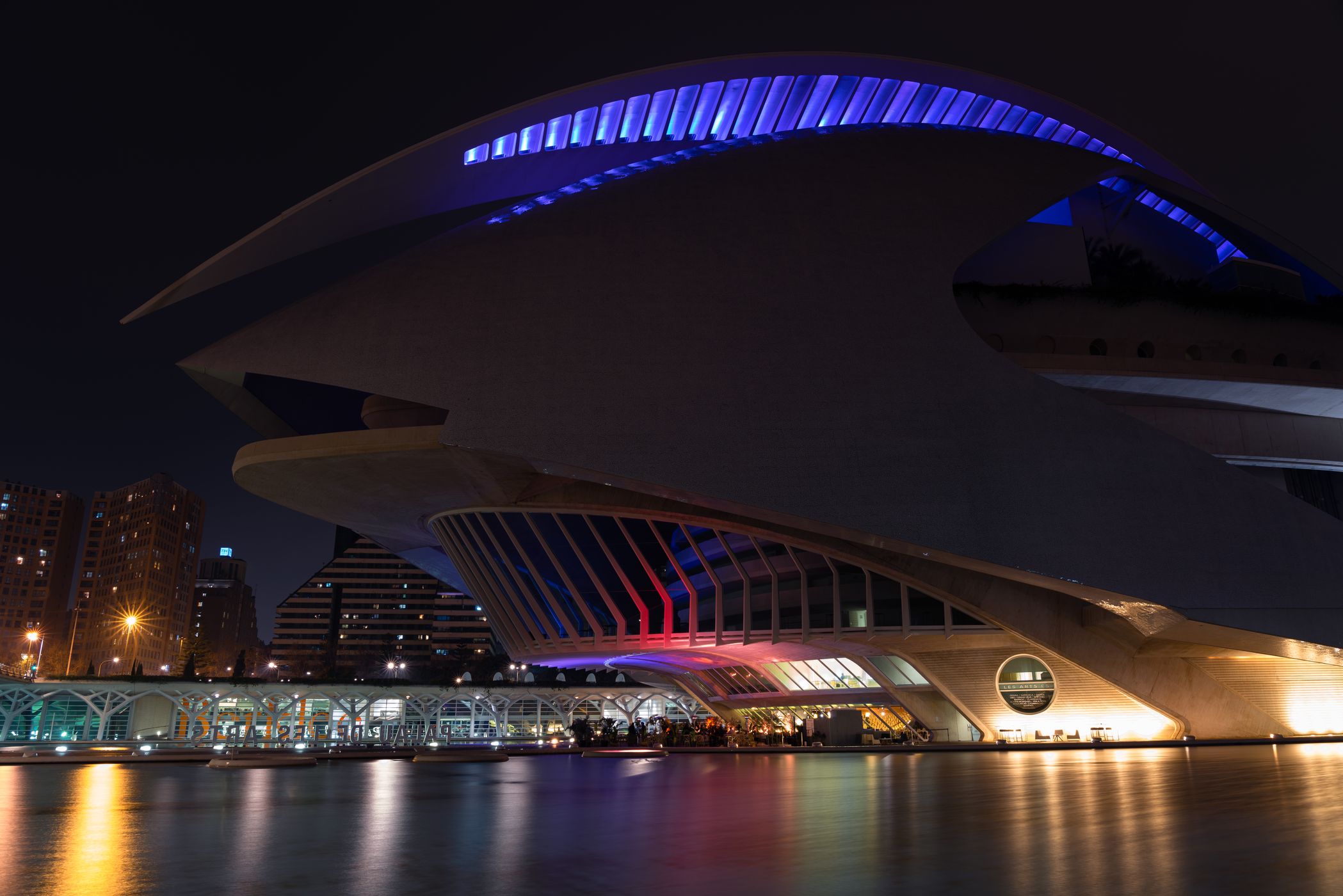 Palau de les Arts Reina Sofia, east view, Valencia, Spain
