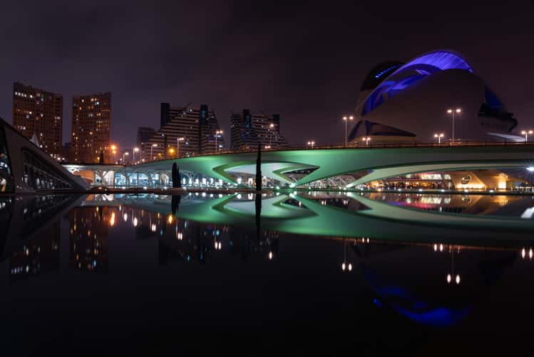 Pont de Monteolivete i Palau de les Arts 01