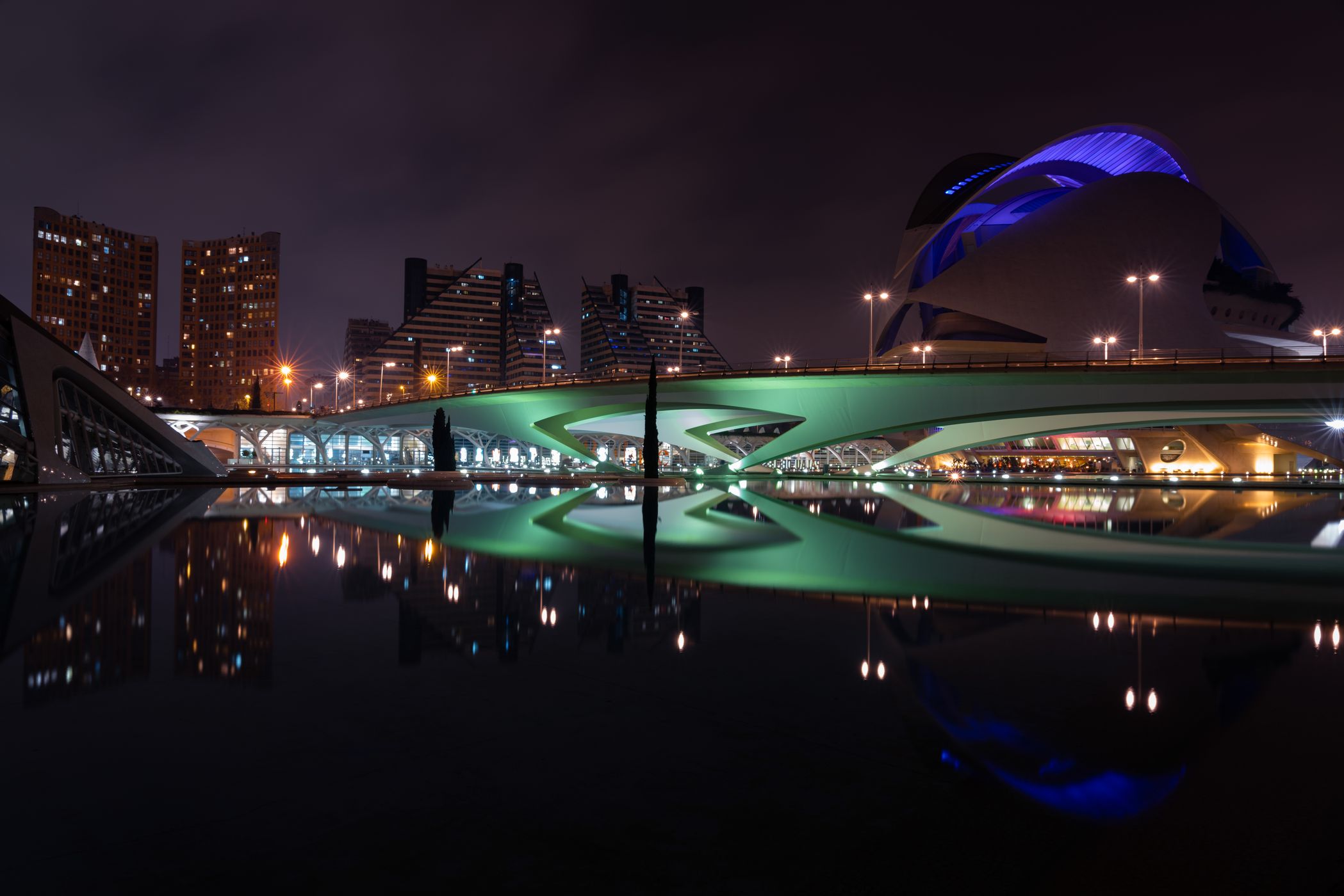 Pont de Monteolivete i Palau de les Arts 01, Spain