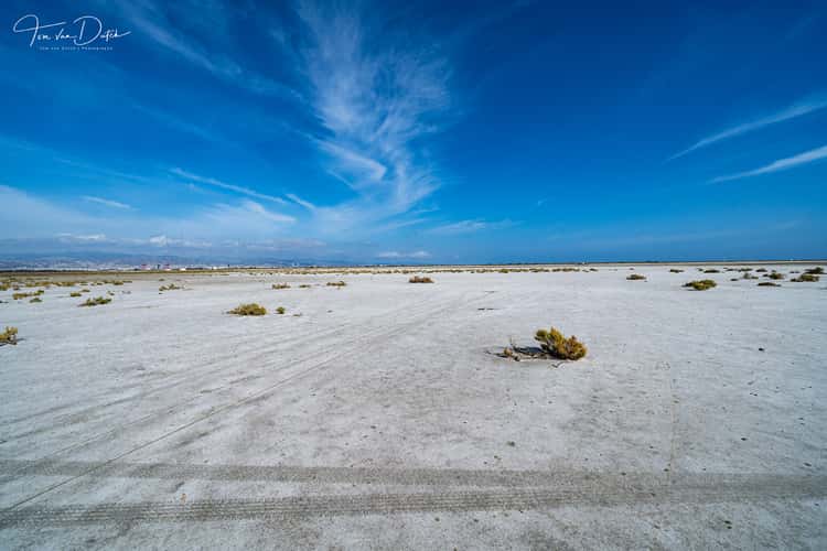 Salt Lake in Limassol