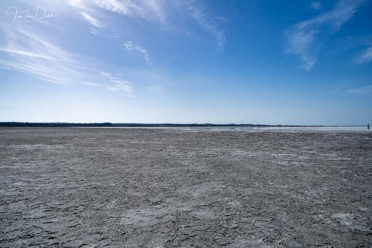 Salt Lake in Limassol