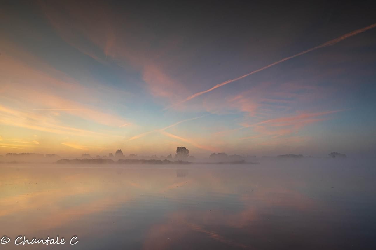 Schulensmeer, Belgium