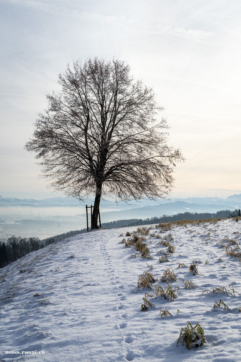 Sennenberg, Switzerland