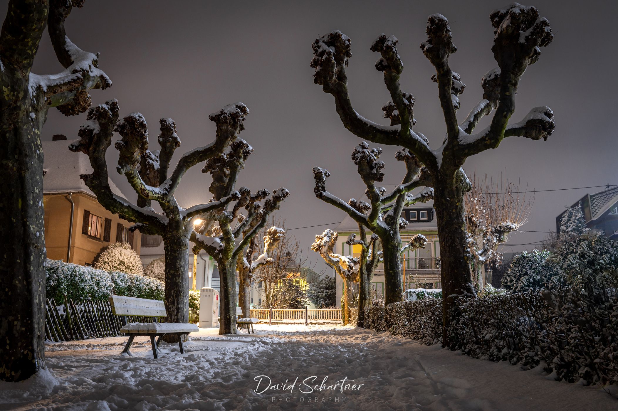 Small avenue, Germany