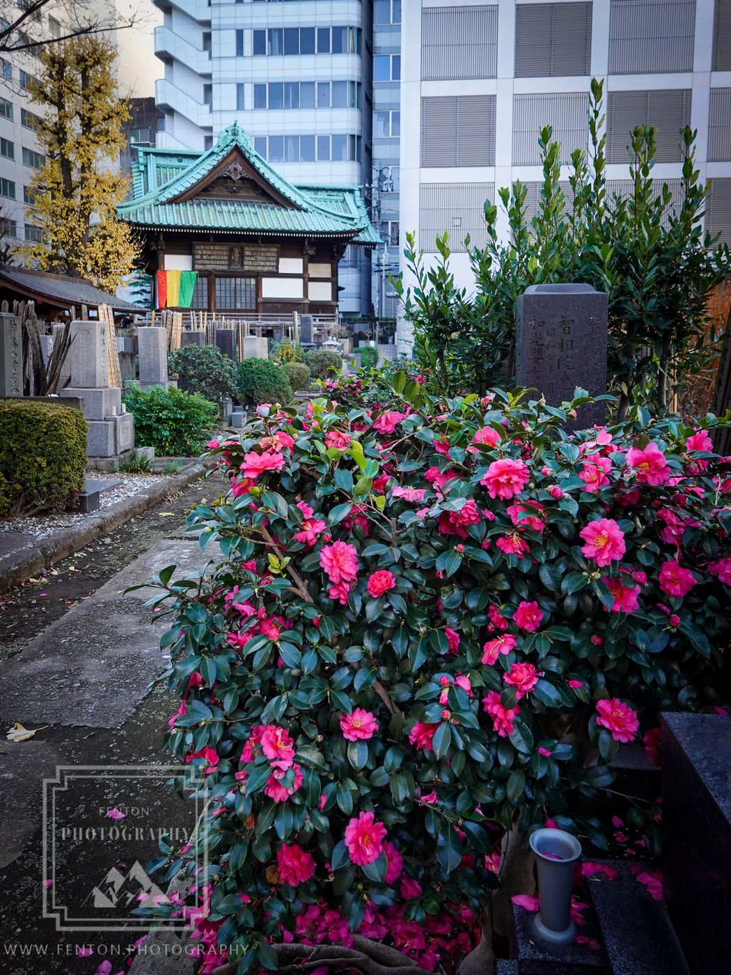 Taiso-ji Temple, Japan