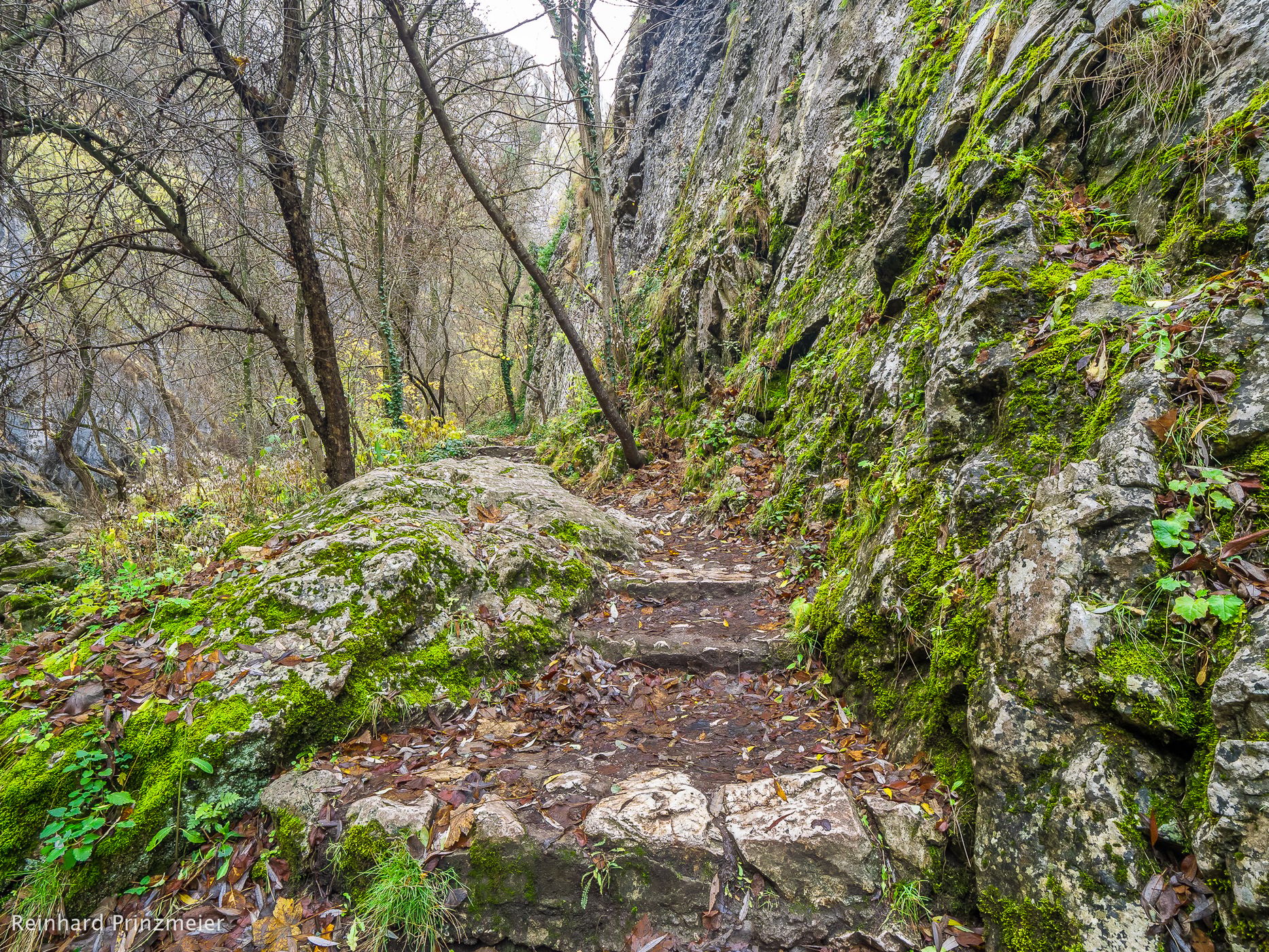 Turda Gorge, Romania