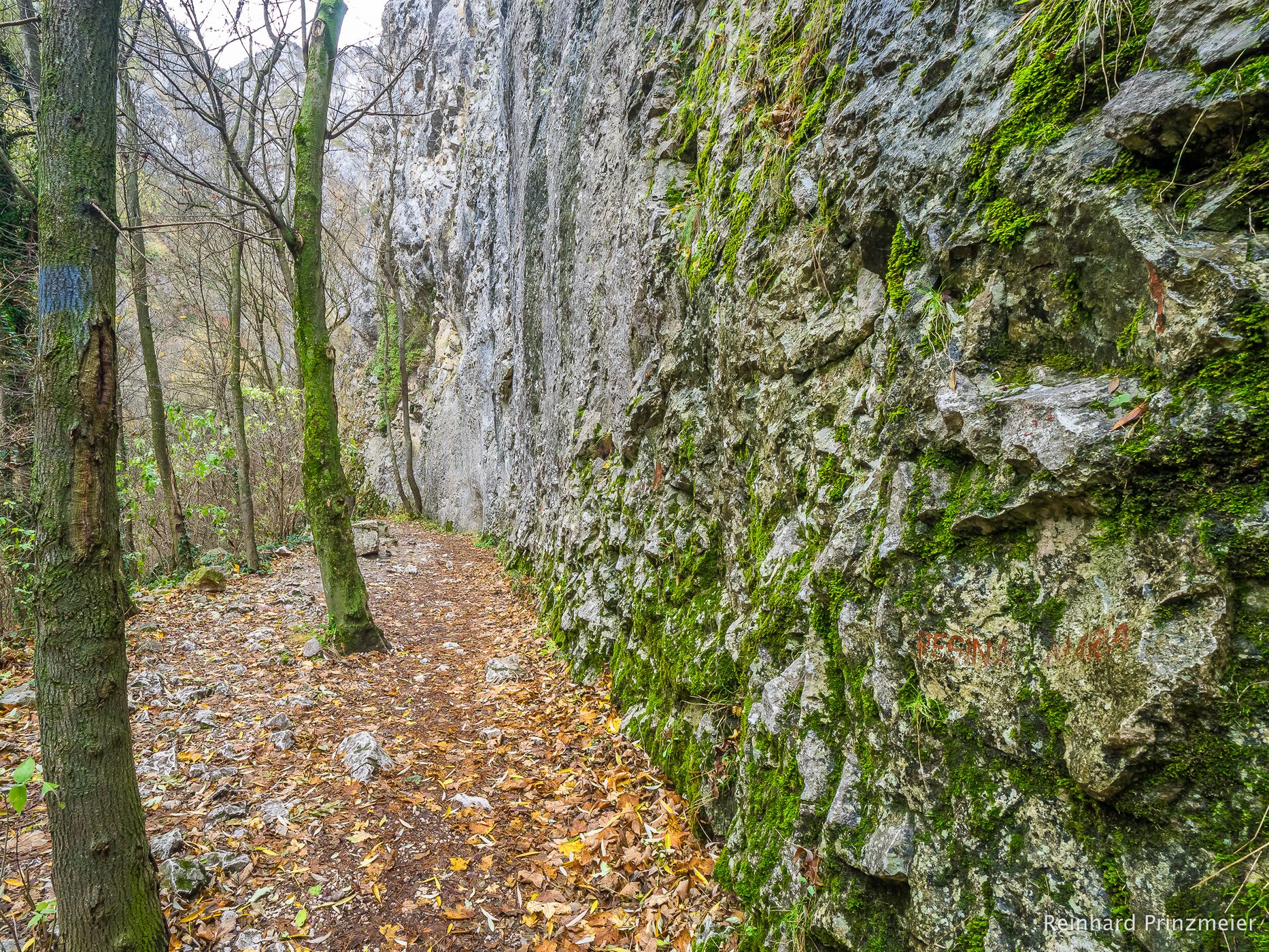 Turda Gorge, Romania