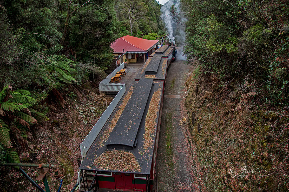 Wilderness Railway Queenstown, Australia