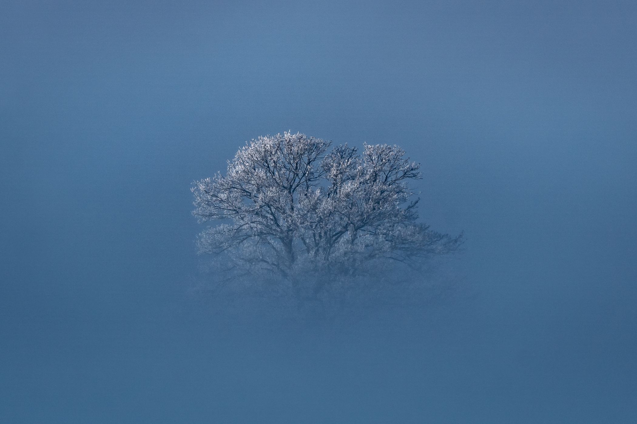 Winter view of Seetal, Switzerland