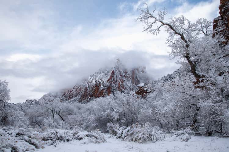 Zion Canyon